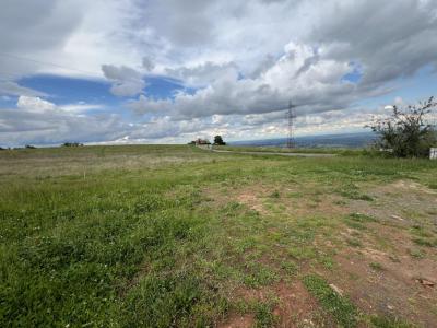 Vente Terrain MONTMELAS-SAINT-SORLIN 69640