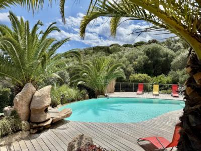Vente Maison 8 pices PORTO-VECCHIO 20137