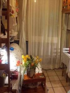 Location Appartement NICE 06000