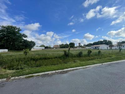Vente Terrain LANTON 33138
