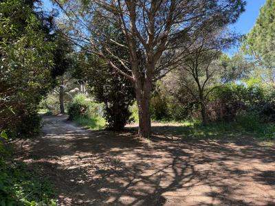 Vente Terrain SAINT-CYPRIEN 66750