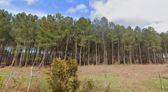 Vente Terrain BRACH 33480