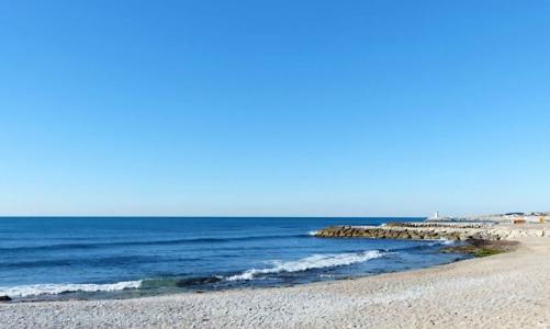 Location Appartement SAUSSET-LES-PINS 13960