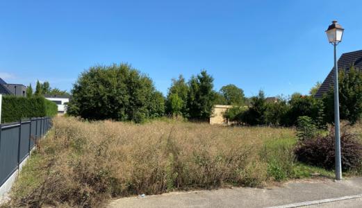 Vente Terrain HEGENHEIM 68220