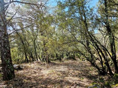 Vente Terrain CAMPS-LA-SOURCE 83170