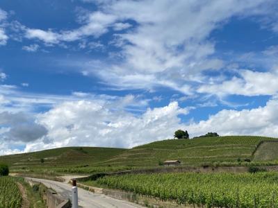 Vente Terrain LARNAGE 26600