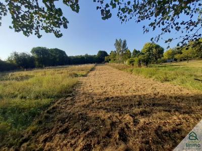 Vente Terrain SAINT-JUNIEN 87200