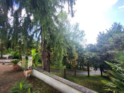 Vente Maison 6 pices COULONGES-SUR-L'AUTIZE 79160