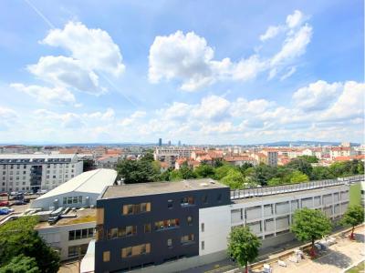 Location Appartement 2 pices VILLEURBANNE 69100