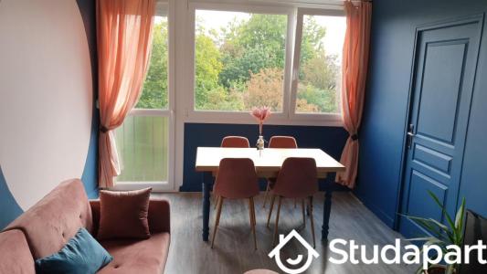 Location Appartement LILLE 59000