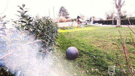 Vente Terrain GALFINGUE 68990