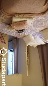 Location Appartement PARIS-16EME-ARRONDISSEMENT 75016