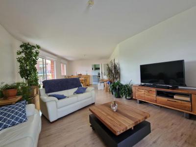 Location Appartement 3 pices LINSELLES 59126