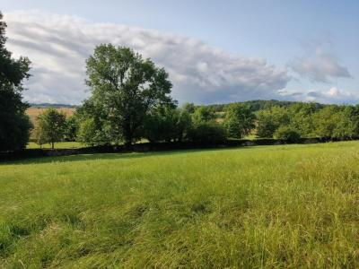Vente Terrain PELOUSEY 25170