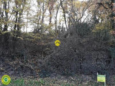 Vente Terrain LUNERY 18400