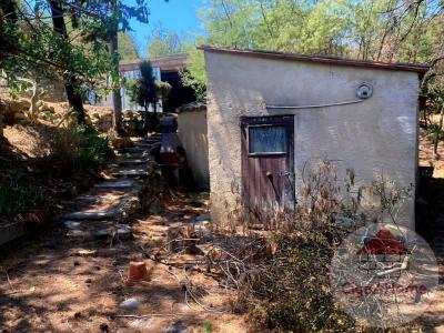 Vente Maison 2 pices FEUILLA 11510