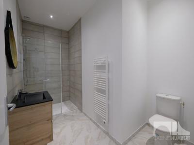 Location Appartement 3 pices SAINT-ETIENNE 42000