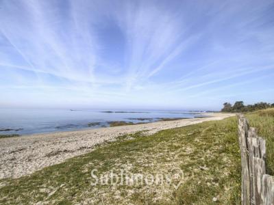 Vente Terrain SARZEAU 56370
