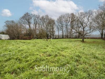 Vente Terrain GRAND-CHAMP 56390