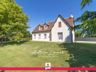 Vente Maison 7 pices CHEMERY 41700