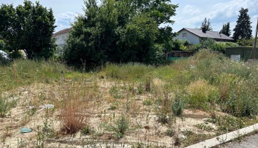 Vente Terrain BLOTZHEIM 68730