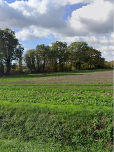 Vente Terrain BOUHET 17540