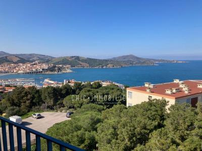 Vente Appartement 2 pices BANYULS-SUR-MER 66650