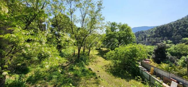 Vente Terrain CONTES 06390