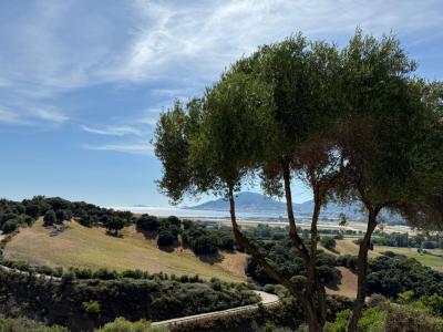 Vente Appartement 3 pices BASTELICACCIA 20129