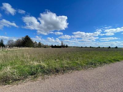 Vente Terrain CHAPELLE-SUR-AVEYRON 45230