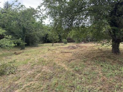 Vente Maison 7 pices BRIGNAIS 69530