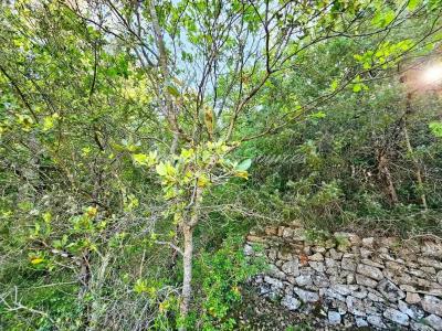 Vente Terrain BRAS 83149