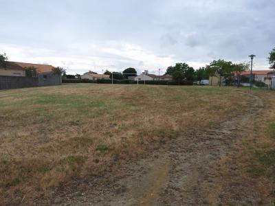 Vente Terrain ARTHON-EN-RETZ 44320