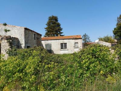 Vente Maison 3 pices SAINT-PIERRE-D'OLERON 17310
