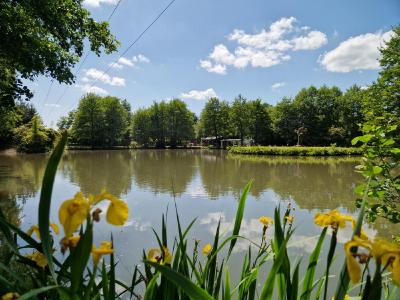 Vente Terrain MEAUCE 28240