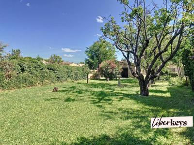 Vente Terrain PONTET 84130