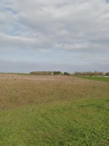 Vente Terrain PUILBOREAU 17138