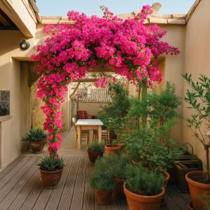 Vente Appartement 5 pices CARCASSONNE 11000