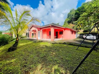 Vente Maison 4 pices GROS-MORNE 97213
