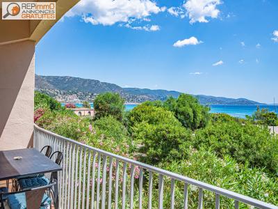 Vente Appartement 3 pices LAVANDOU 83980