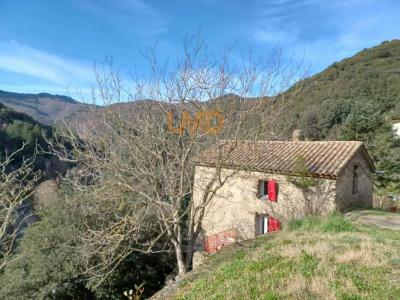 Vente Maison 3 pices SAINT-ANDRE-DE-VALBORGNE 30940