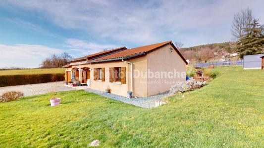 Vente Maison 5 pices ROZIER-EN-DONZY 42810