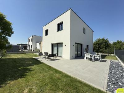 Vente Maison 6 pices SAINTE-CROIX-EN-PLAINE 68127