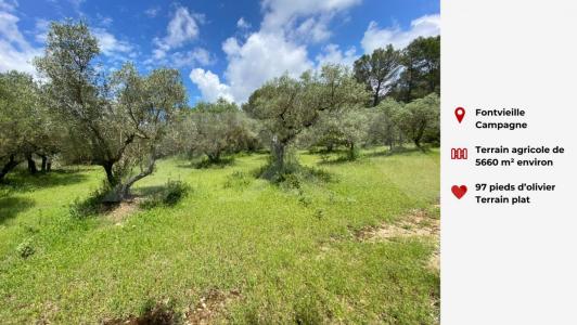 Vente Terrain FONTVIEILLE 13990