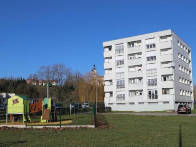 Location Appartement 3 pices CHATENOIS 88170