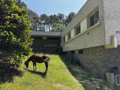 Vente Maison 7 pices PLOEMEUR 56270