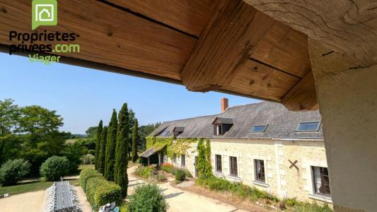 Viager Maison 30 pices NOYANT 49490