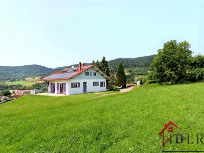 Vente Maison 8 pices THOLY 88530