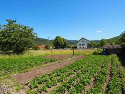 Vente Maison 8 pices GIROMAGNY 90200