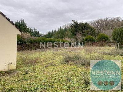 Vente Maison 4 pices CELLETTES 41120